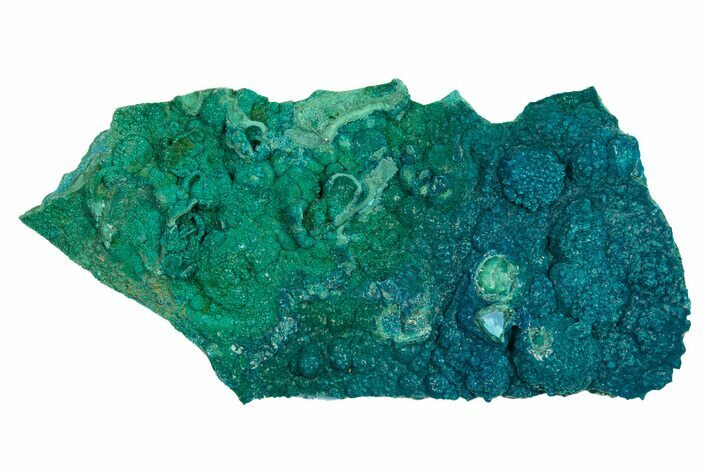 Vibrant Teal Botryoidal Chrysocolla and Malachite - Chile #310117